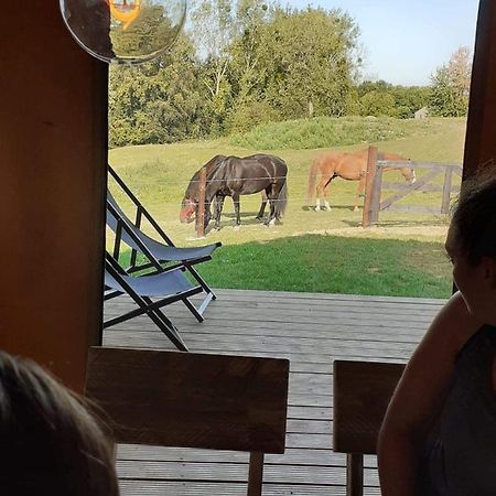 Mortier Le Relais D'Artagnan - Relais Equestre酒店 外观 照片